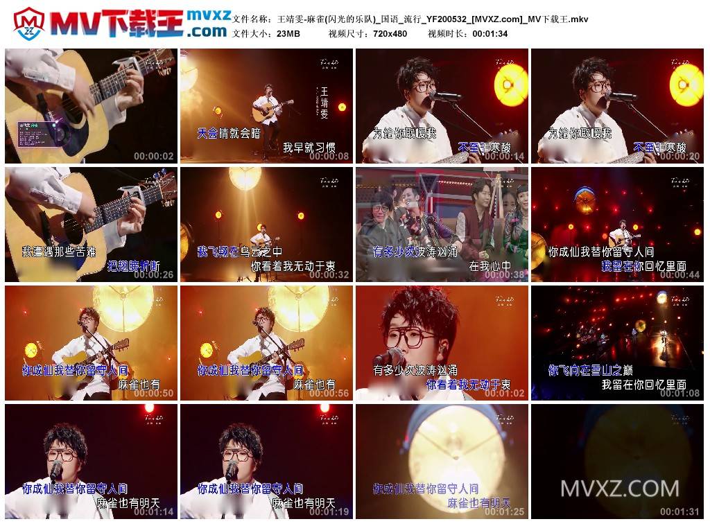 王靖雯-麻雀(闪光的乐队)_国语_流行_YF200532